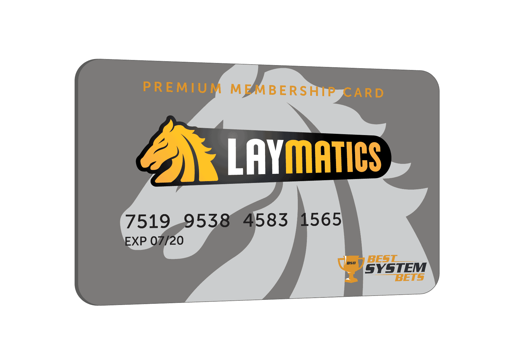 LayMatics Membership Card